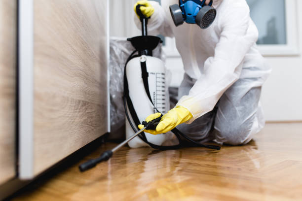 Best Commercial Pest Control Services  in Lonoke, AR
