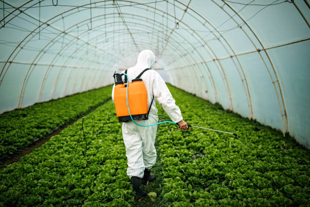 Best Residential Pest Control  in Lonoke, AR