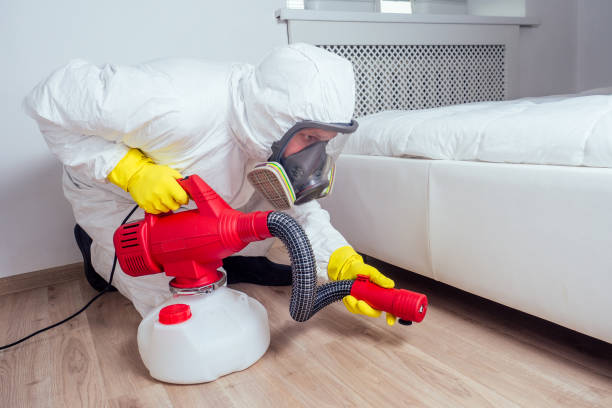 Best Best Pest Control Companies  in Lonoke, AR