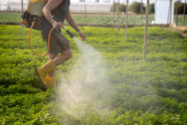 Best Best Pest Control Companies  in Lonoke, AR