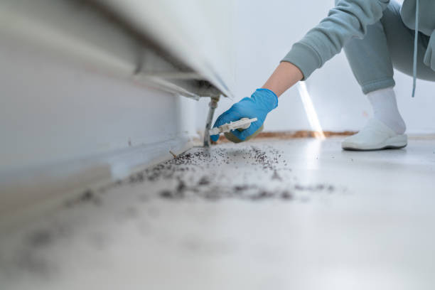 Best Exterminator Services  in Lonoke, AR