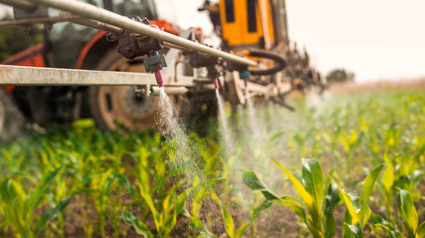 Professional Pest Control in Lonoke, AR