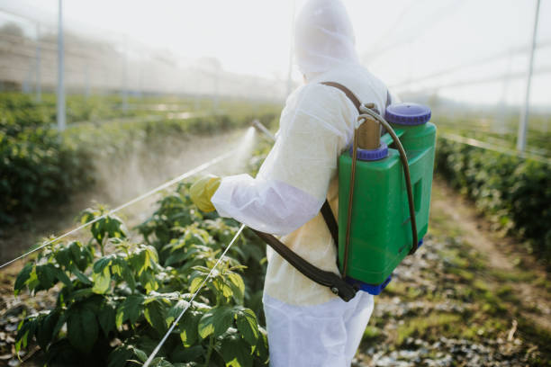 Best Flea Control Services  in Lonoke, AR